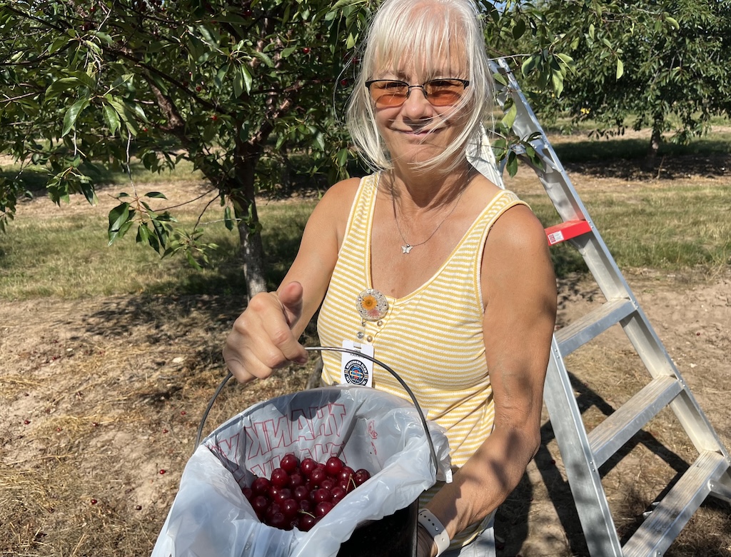 Tart Cherries