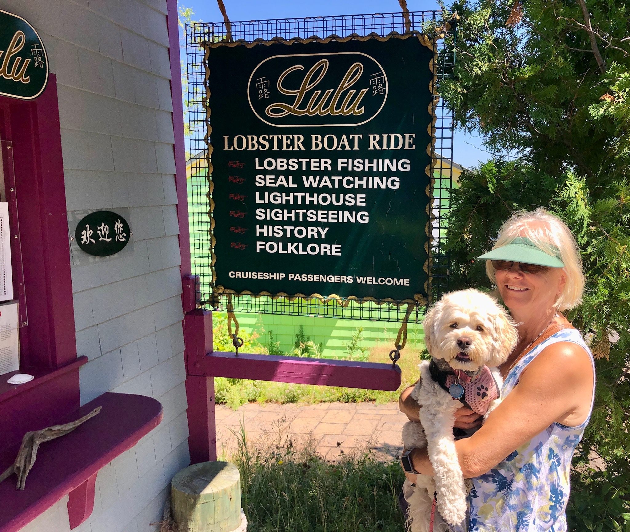 Lulu sign
