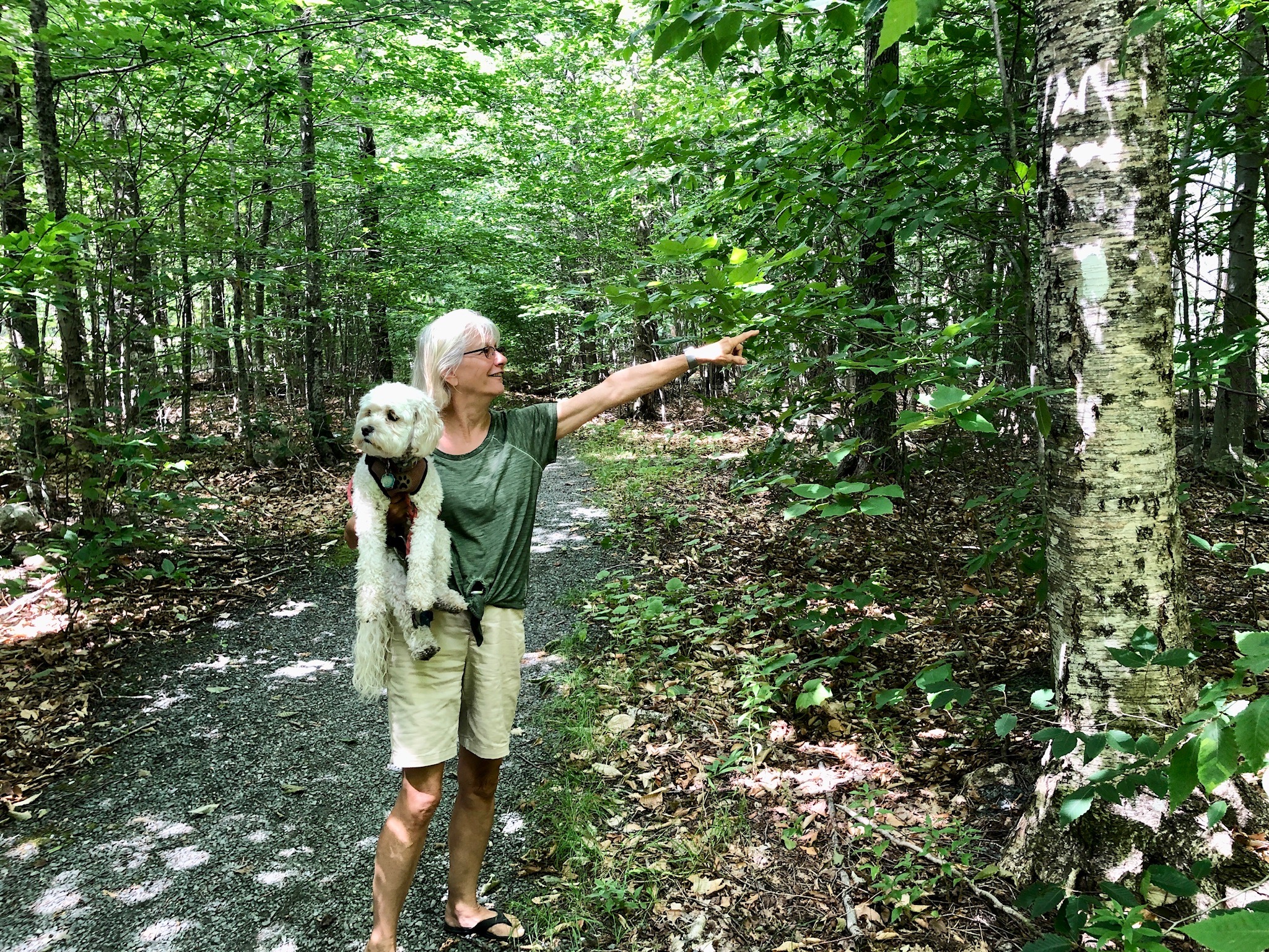 Appelecian Trail mark