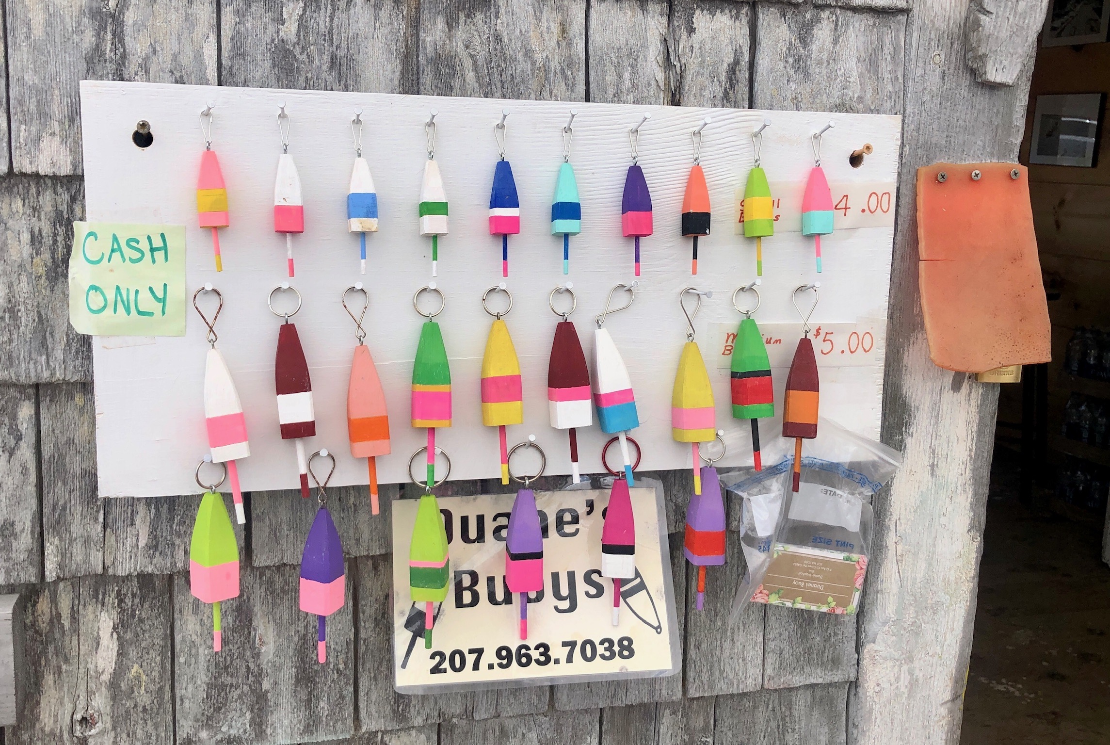 Seen at Corea Harbor