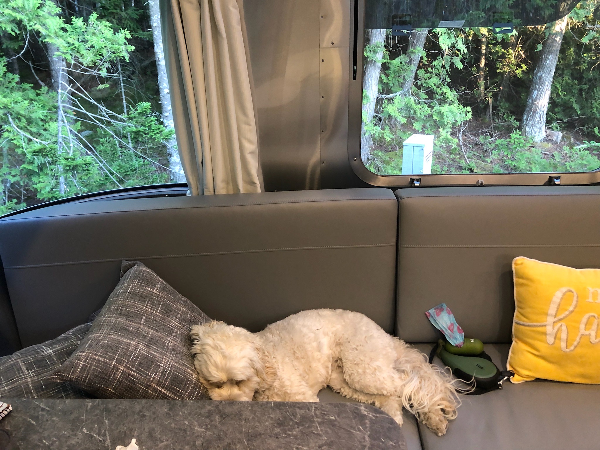 Zzzzzzzz, Schoodic Woods