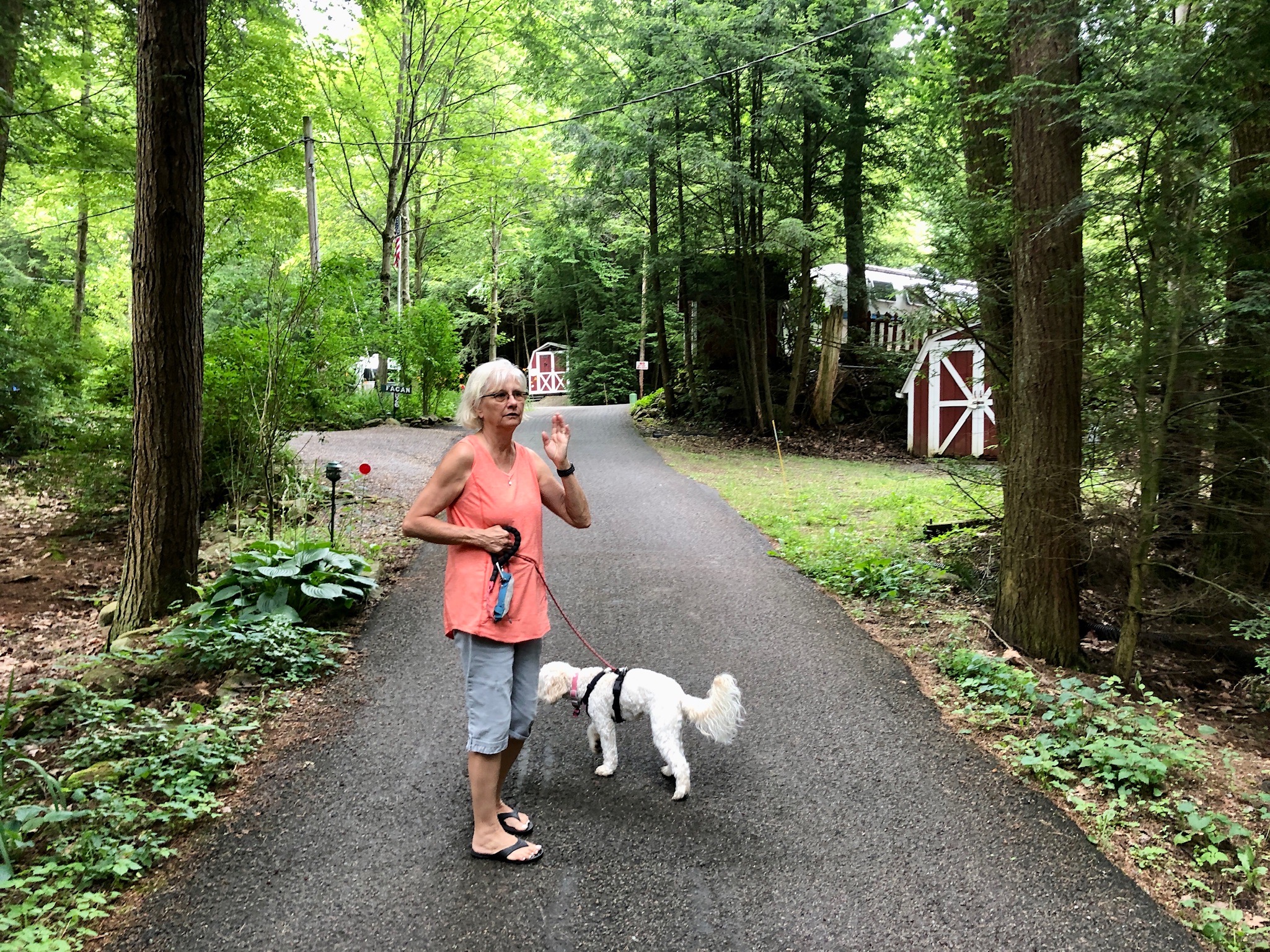 Penn Woods Airstream Park, PA