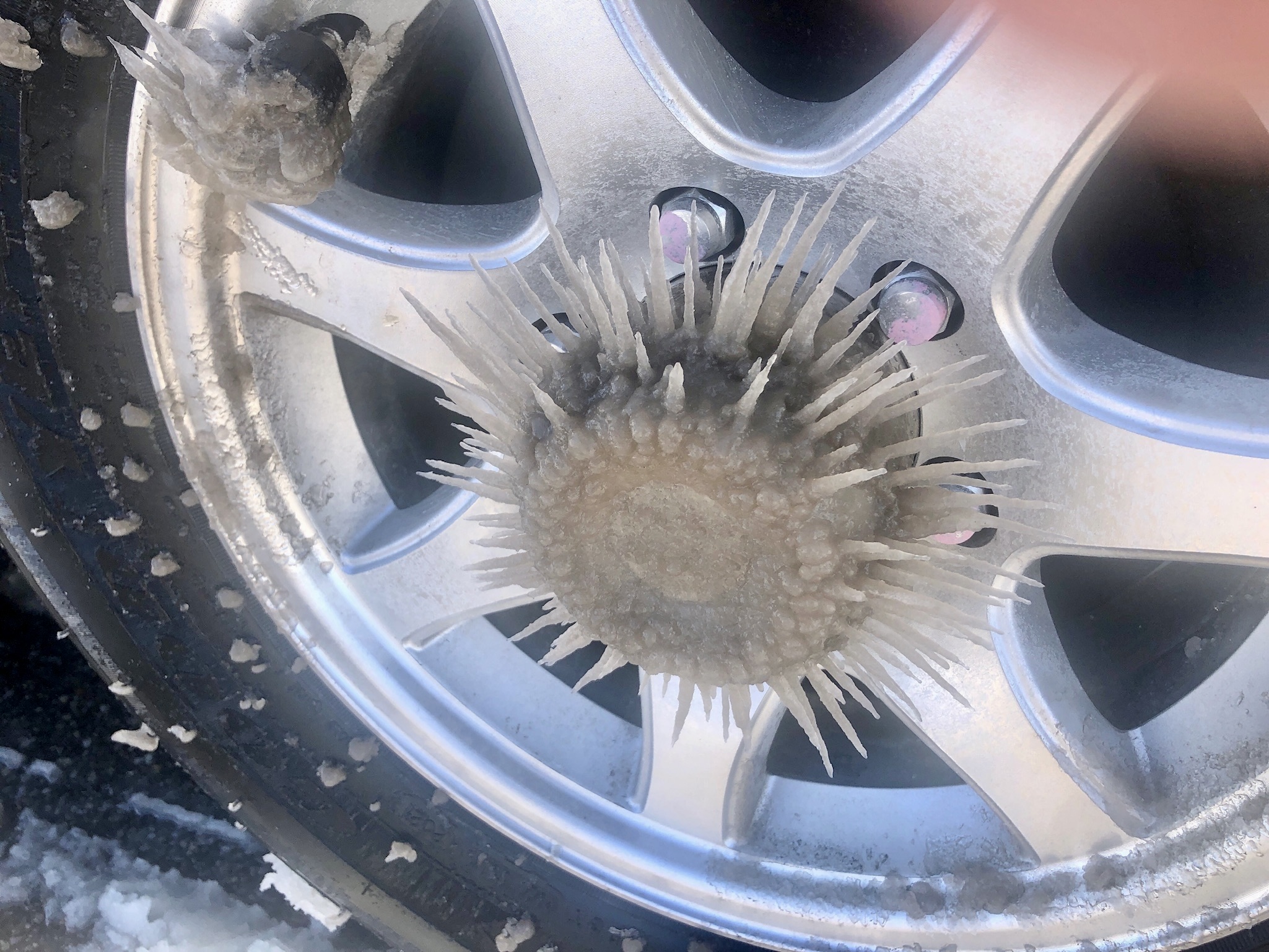Wheel Art!
