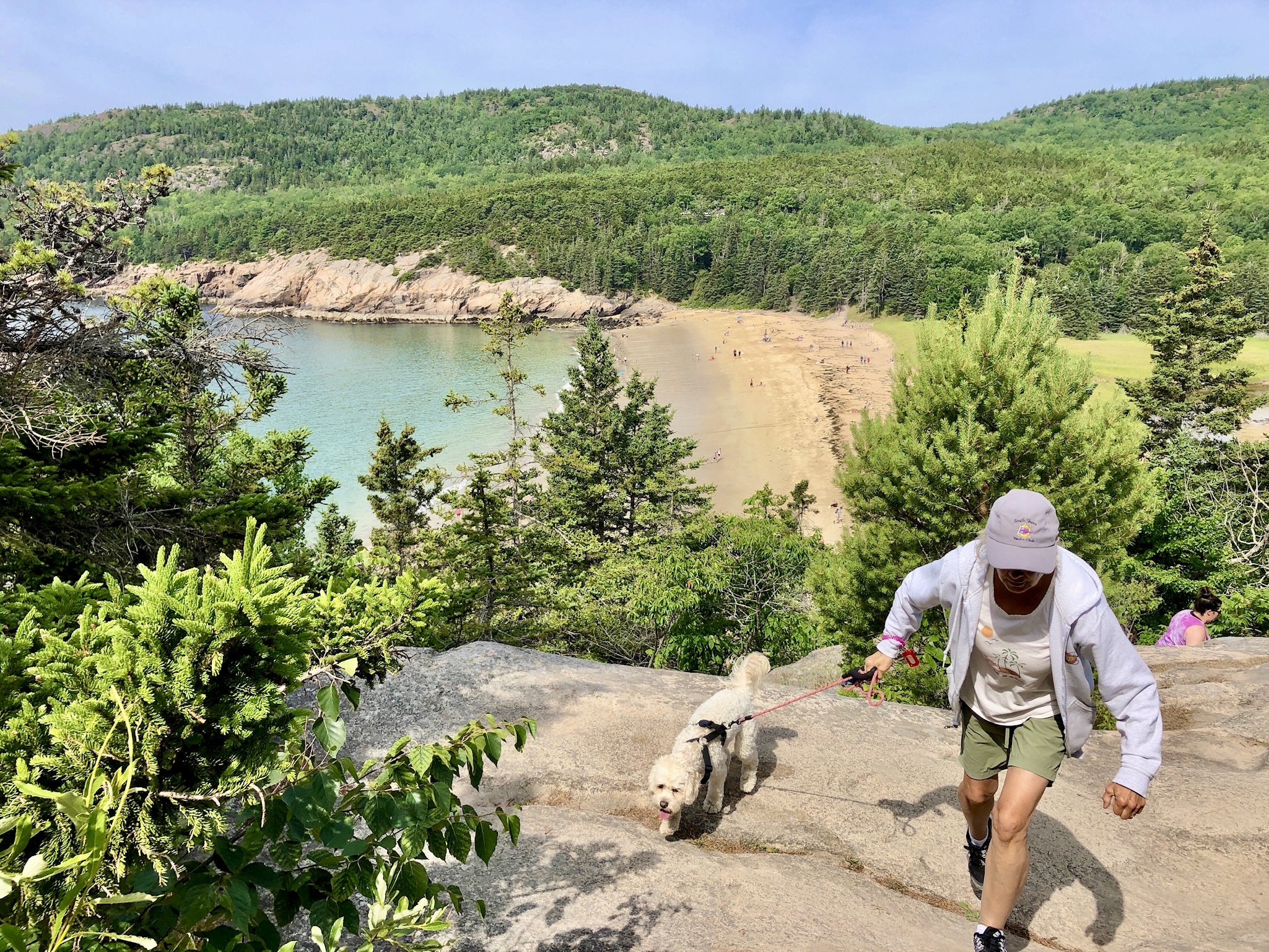 Acadia National Park Trail