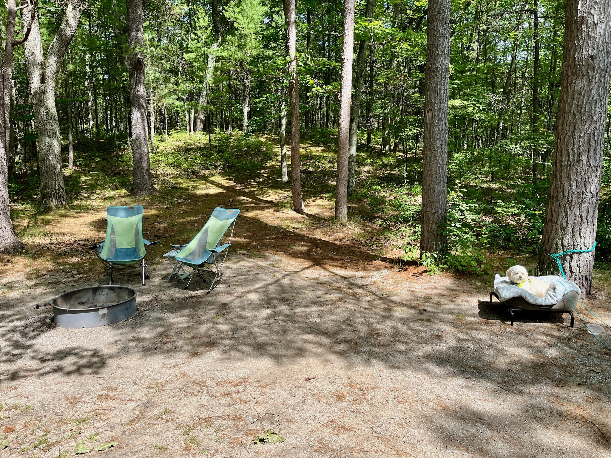 Sleeping bear dunes campsite was nice; space between sites.