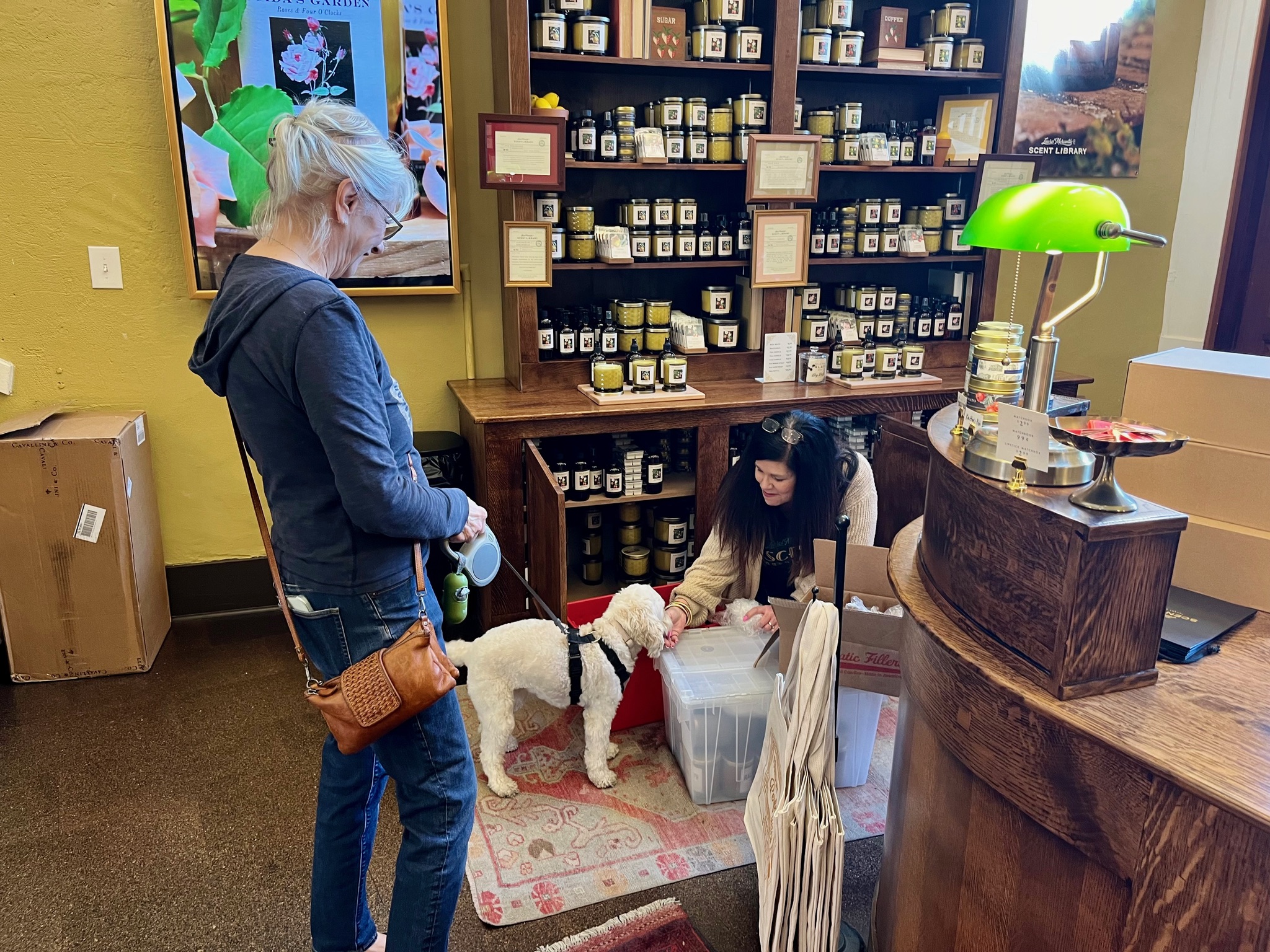 Dog's welcome in all buildings; everyone loves Lulu.