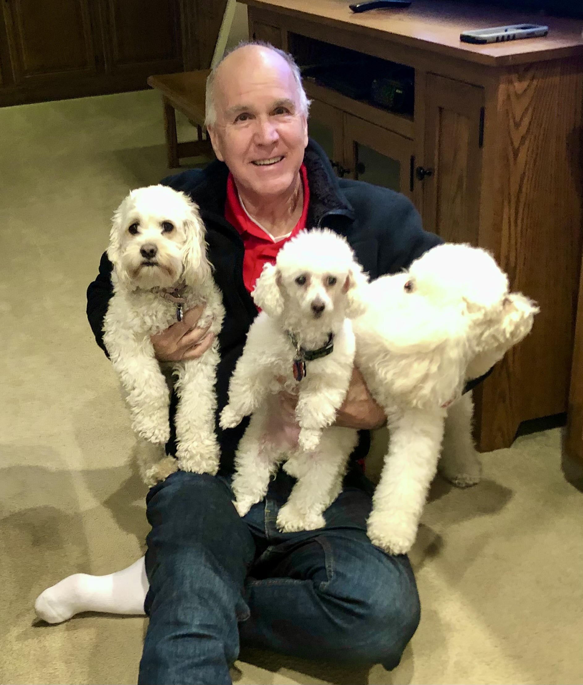 Lulu, Gigi, Boomer (Russ' 2nd try to get that perfect picture)