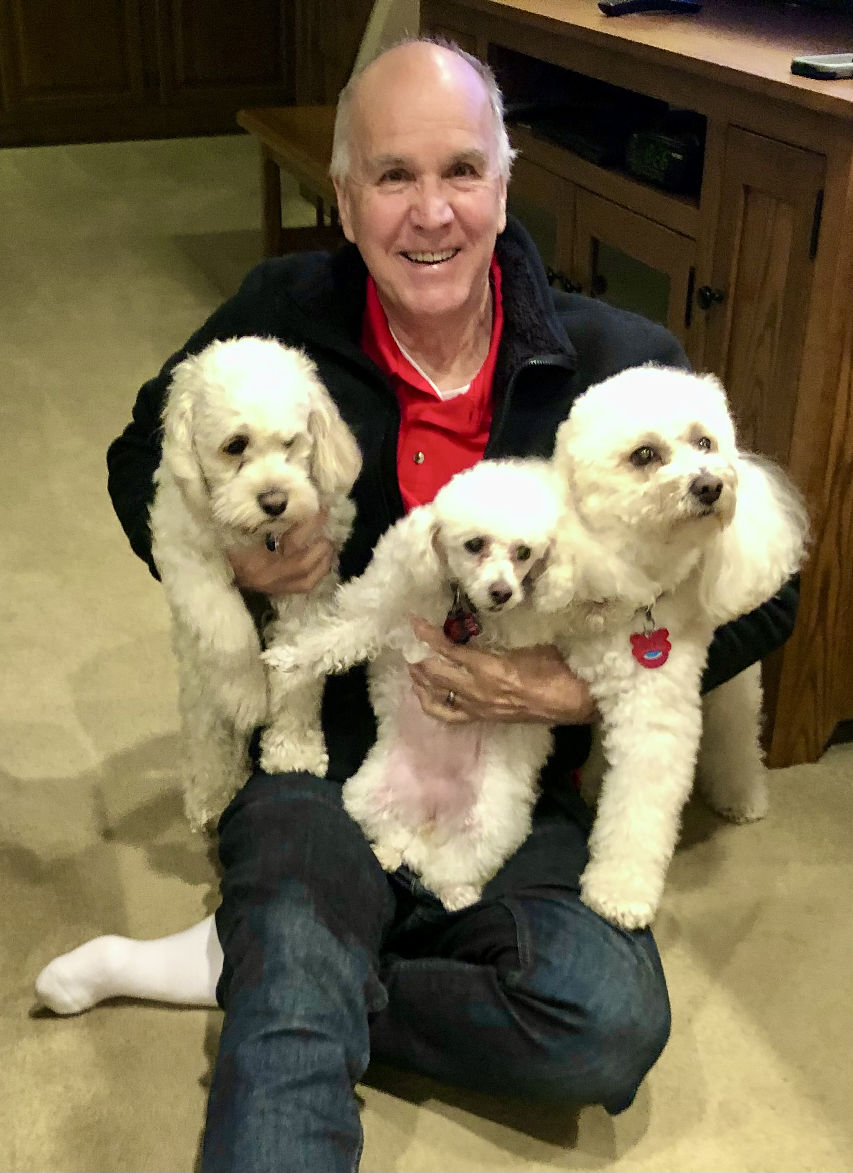 Lulu, Gigi, Boomer (Russ' 3rd try to get that perfect picture)